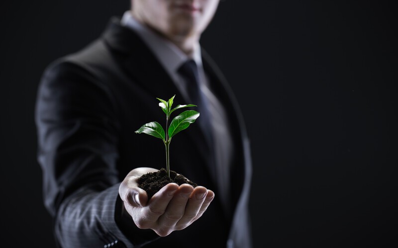 Le Parole del Management - 35. Leadership