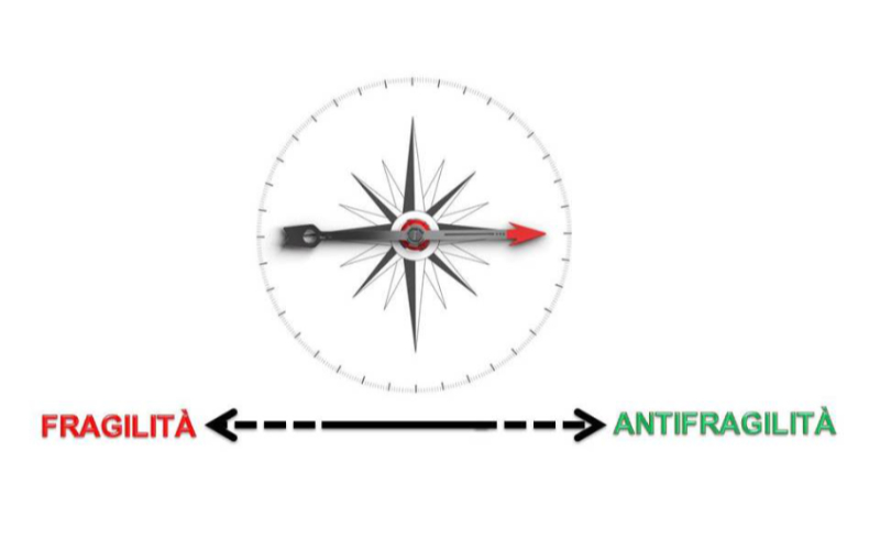 I Principi dell'Antifragilità